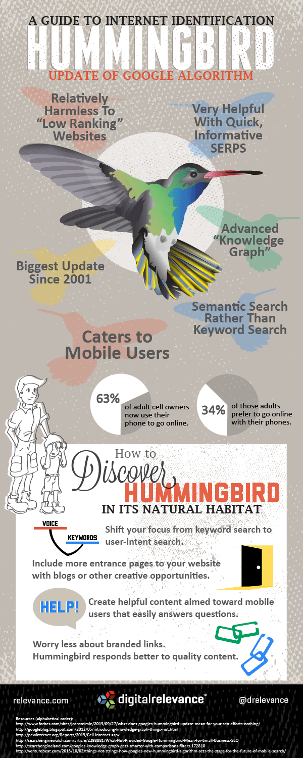 The complete guide to hummingbird: 4 Infographics To Understand The Google's Hummingbird Search Algorithm With New SEO Optimization Tips