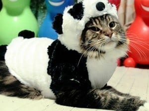 Millennial Marketing 101: Be Friendly, Cute And Relevant