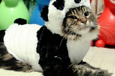 Millennial Marketing 101: Be Friendly, Cute And Relevant