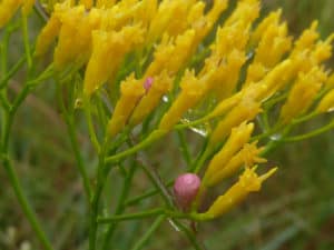 Your New Year’s Content Marketing Checklist