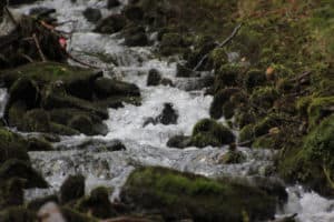 How to Create Social Media Campaign Workflows That Get Results