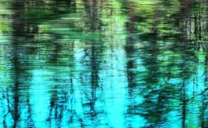 Using Infographics to Enhance Your Content and Wow Your Readers